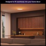 Philips Hue Datura Smart Ceiling Panel (Large Round 2.49 in x 22.60 in) White & Color Light, Bluetooth Compatible, Voice Control with Alexa, Apple Home & Google Assistant†? - Image 4