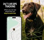 Fi Series 3 Smart Dog Collar - GPS Dog Tracker and Activity & Fitness Monitor, Waterproof, LED Light, Escape Alerts, Nationwide Coverage [Free 6 Month Membership] (Gray, Large) - Image 3