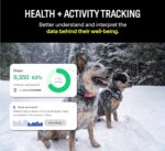 Fi Series 3 Smart Dog Collar - GPS Dog Tracker and Activity & Fitness Monitor, Waterproof, LED Light, Escape Alerts, Nationwide Coverage [Free 6 Month Membership] (Gray, Large) - Image 5