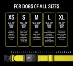 Fi Series 3 Smart Dog Collar - GPS Dog Tracker and Activity & Fitness Monitor, Waterproof, LED Light, Escape Alerts, Nationwide Coverage [Free 6 Month Membership] (Gray, Large) - Image 6