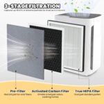 Vital 100 Replacement Filter for LEVOIT Air Purifier, 3-in-1 Pre, H13 High-Efficiency Activated Carbon Filtration System, Replace Part # Vital 100-RF, Pack of 2, By Improvedhand - Image 3