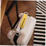 Cabilock 2pcs Portable Spring Hanging Scale 100kg/220.5lb High Capacity Mechanical Balance Scale for Luggage Produce and Outdoor Weighing - Image 6