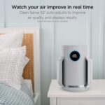 Shark NeverChange Air Purifier Compact Pro with Long-lasting HEPA Exceeding Filtration, For Pet Dander, Dust, Smoke, Allergens, Up to 250 sq. ft. for Bedroom, Home Office, Dorm, HP071BRN (2025) - Image 3