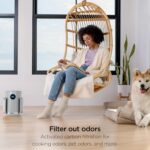 Shark NeverChange Air Purifier Compact Pro with Long-lasting HEPA Exceeding Filtration, For Pet Dander, Dust, Smoke, Allergens, Up to 250 sq. ft. for Bedroom, Home Office, Dorm, HP071BRN (2025) - Image 8