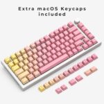 Glorious Grapefruit PBT Keycaps Set (Pink & Yellow) 143 Cute Custom Keycaps, Cherry MX Profile, Pastel, Low-Profile Dye-Sub for Mechanical Gaming Keyboards (60%, TKL, Full Size) Incl Mac Keys (191) - Image 8
