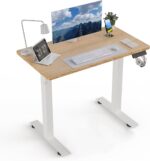 35 * 20 Electric Standing Desk, Adjustable Height Sit Stand Up Desk, Motorized Home Office Computer Gaming Workstation Desk - Image 2