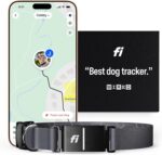 Fi Series 3 Smart Dog Collar - GPS Dog Tracker and Activity & Fitness Monitor, Waterproof, LED Light, Escape Alerts, Nationwide Coverage [Free 6 Month Membership] (Gray, Large) - Image 2