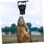 GALPADA Portable Luggage Scale Digital Fishing Scale 50kg/10g Accuracy Plastic Construction Easy to Carry - Image 6