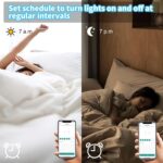 Smart Light Switch 2 Gang(Button), Double Smart WiFi Light Switches, Smart Switch Compatible with Alexa and Google Home, Remote Control Light Switch，Neutral Wire Needed，No hub Required - Image 6