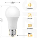 TREATLIFE Smart Light Bulbs 4Pack, 2500K-6500K Tunable White Dimmable LED Light Bulb Compatible with Alexa and Google Home, 2.4GHz WiFi Smart Bulb, 800LM, E26 A19 9W, No Hub Required - Image 3