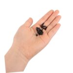 16pcs Precision Security Screws Doorbells Replacement Screws Compatible with Ring doorbell Enhanced Grip for Secure Installation for Home Apartment Security - Image 5