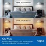 Tapo TP-Link Smart Light Bulbs, 1100 Lumens High Brightness (75W Equivalent), Matter-Certified, 16M Colors WiFi Light Bulb, Dimmable, Works w/Siri, Alexa & Google Home, A19 E26, L535E(4-Pack) - Image 10
