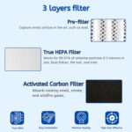 Nispira LV-H134 3-In-1 High Efficiency True HEPA Activated Carbon Premium Filter Replacement for Levoit Air Purifier LV-H134-RF | Remove Smoke, Chemical VOCs | 1 Pack - Image 4